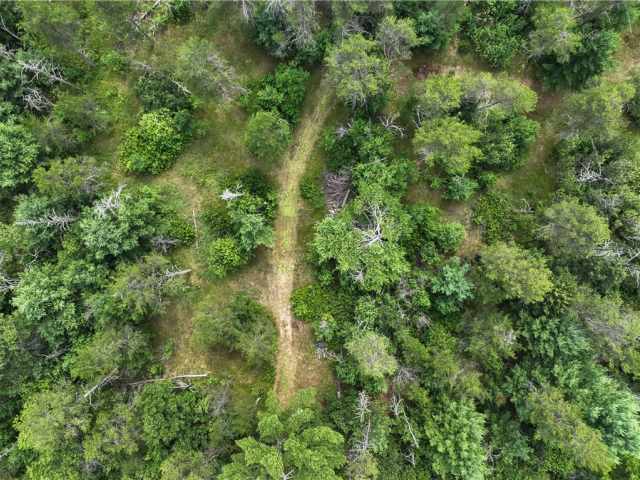 Black River Falls Residential Real Estate