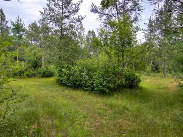 Black River Falls Residential Real Estate