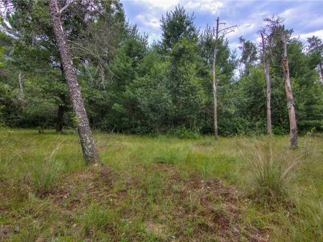 Black River Falls Residential Real Estate