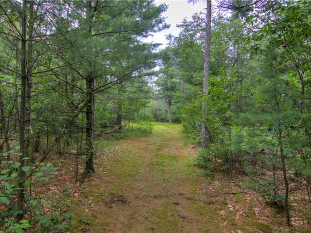 Black River Falls Residential Real Estate