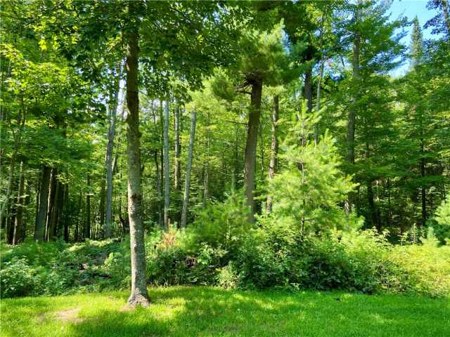 Webster Residential Real Estate
