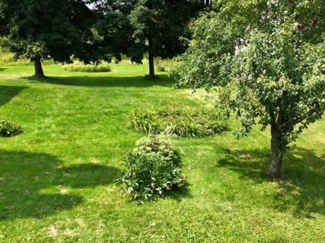 Luck Residential Real Estate