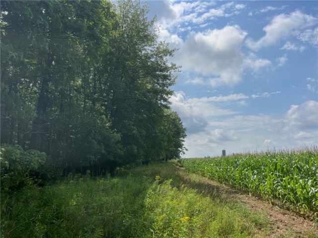 Ogema Land Real Estate