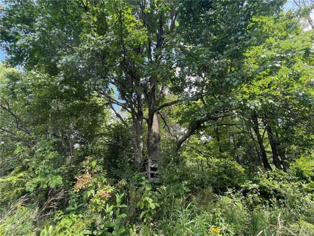 Ogema Land Real Estate