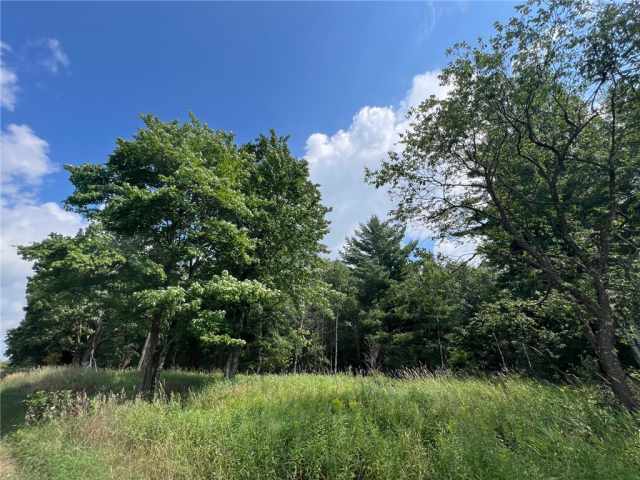 Ogema Land Real Estate