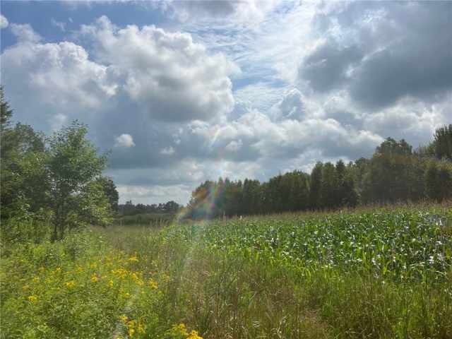 Ogema Land Real Estate