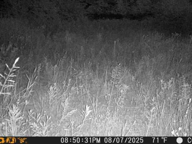 Ogema Land Real Estate