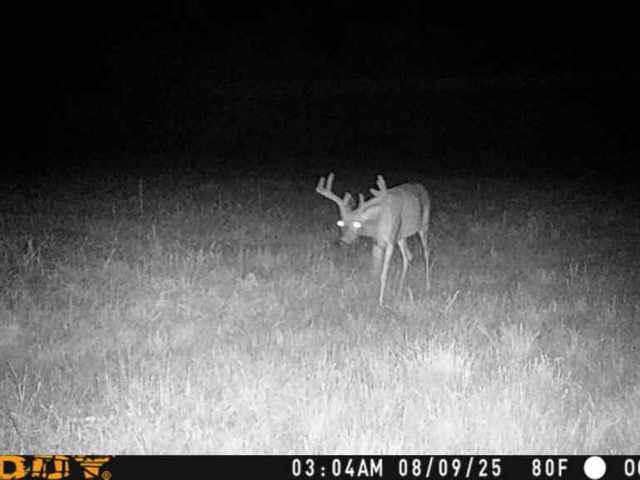 Ogema Land Real Estate