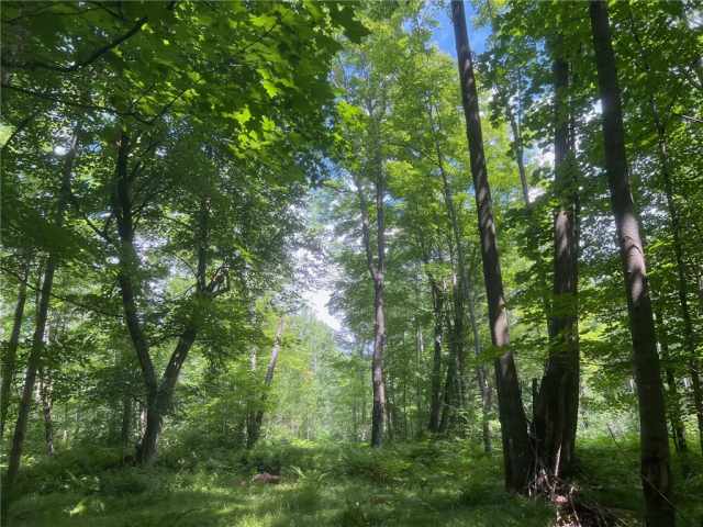 Ogema Land Real Estate