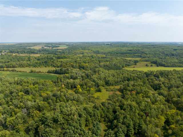 Rice Lake Land Real Estate