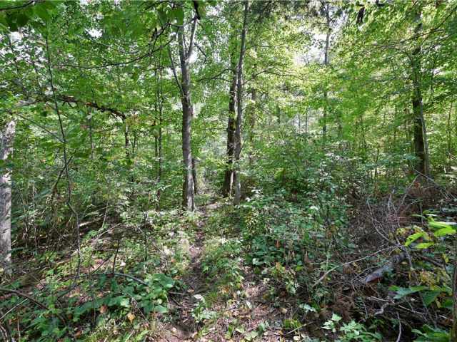 Rice Lake Land Real Estate