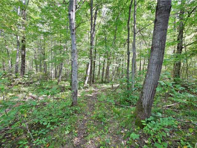 Rice Lake Land Real Estate