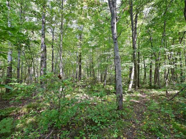Rice Lake Land Real Estate