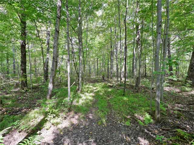 Rice Lake Land Real Estate