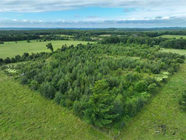Fall Creek Land Real Estate