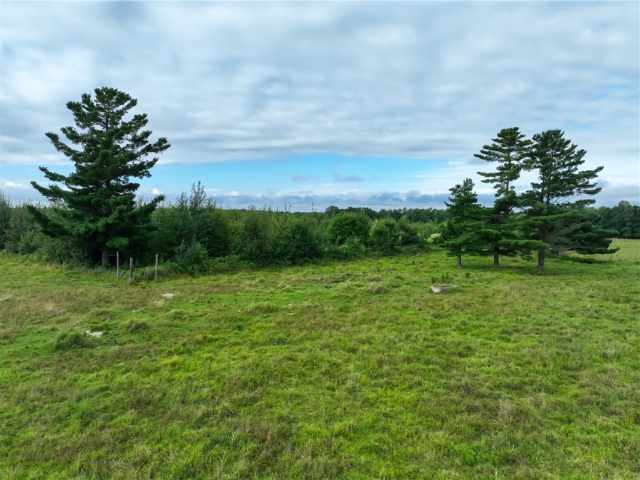 Fall Creek Land Real Estate