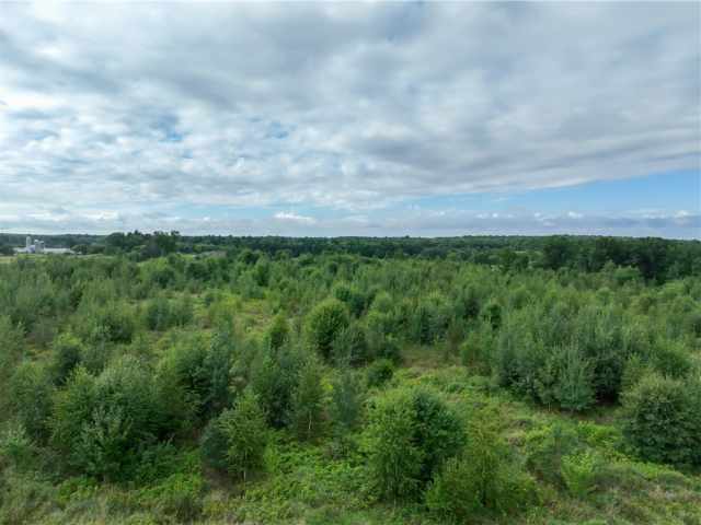 Fall Creek Land Real Estate