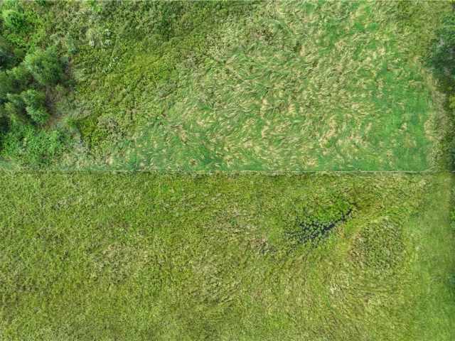 Fall Creek Land Real Estate
