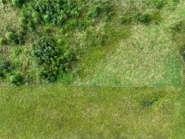 Fall Creek Land Real Estate
