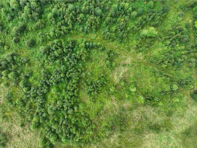 Fall Creek Land Real Estate