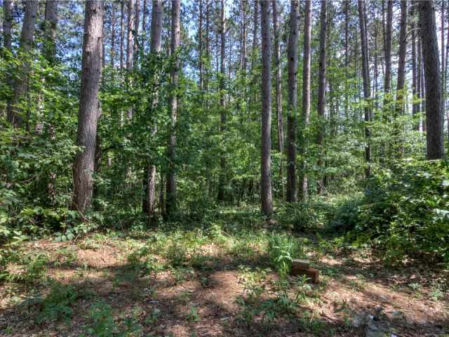 Webster Residential Real Estate