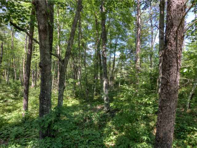 Webster Residential Real Estate