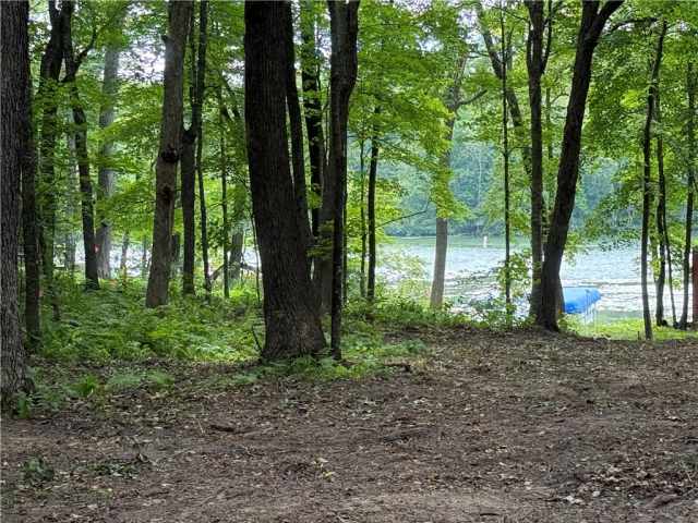 Sarona Land Real Estate