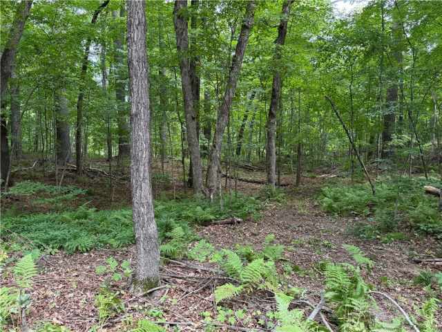 Sarona Land Real Estate