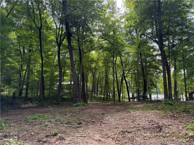 Sarona Land Real Estate