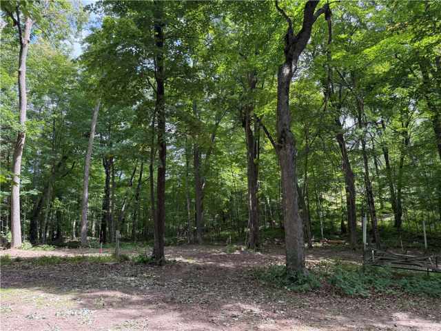 Sarona Land Real Estate