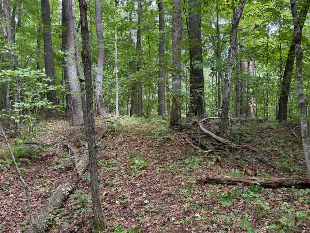 Sarona Land Real Estate