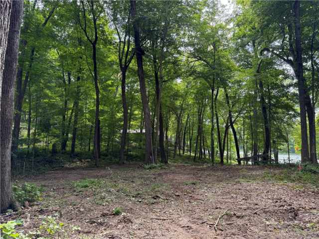 Sarona Land Real Estate