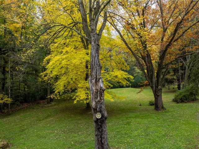 Amery Residential Real Estate