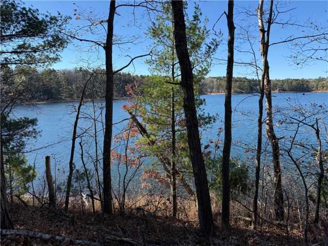 Stone Lake Land Real Estate