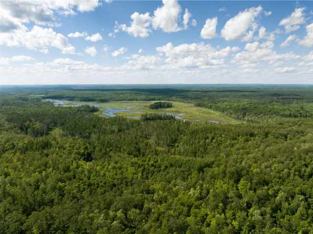 Hayward Residential Real Estate