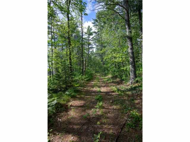 Hayward Residential Real Estate