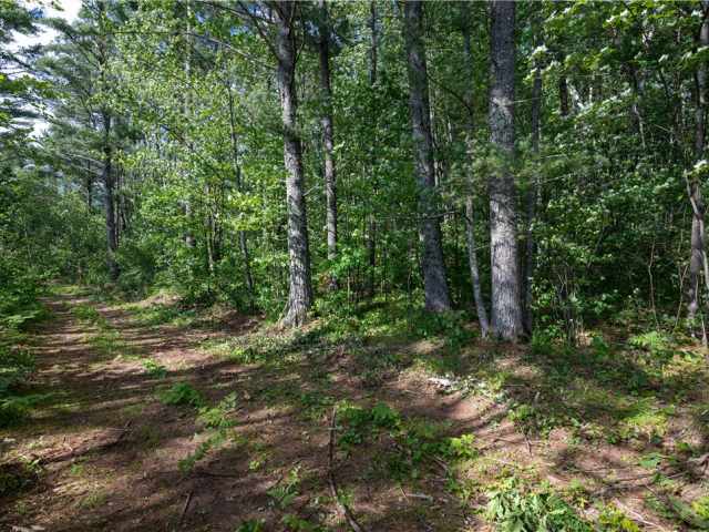 Hayward Residential Real Estate