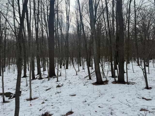 Barronett Land Real Estate