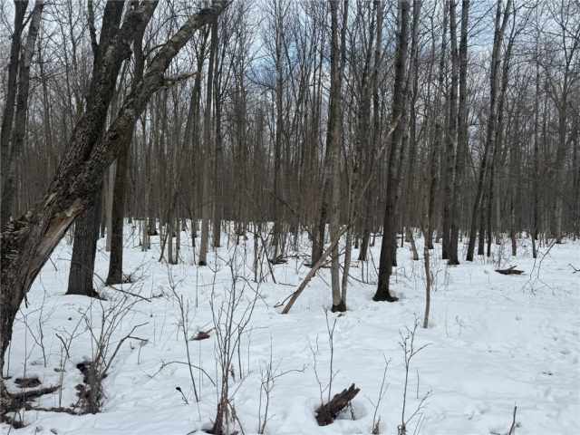 Barronett Land Real Estate