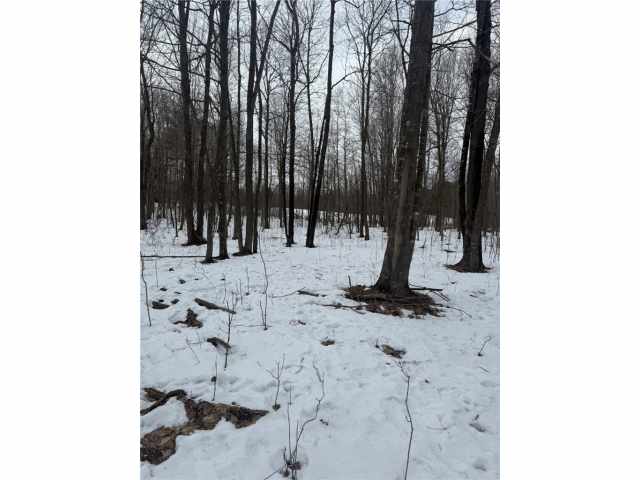 Barronett Land Real Estate