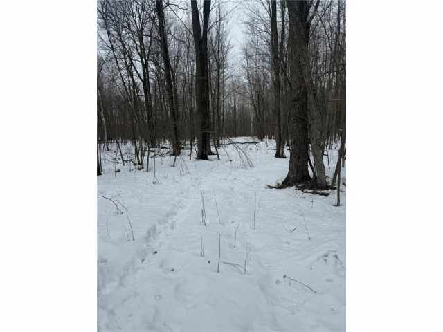 Barronett Land Real Estate