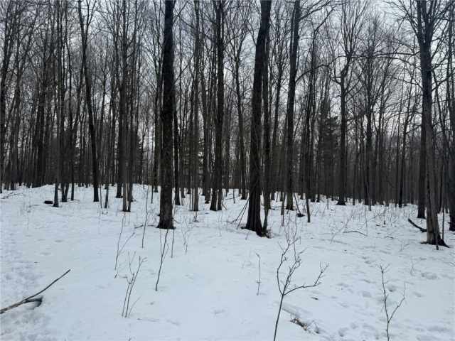 Barronett Land Real Estate