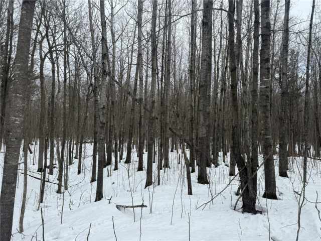 Barronett Land Real Estate