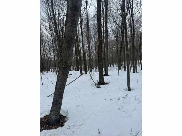 Barronett Land Real Estate