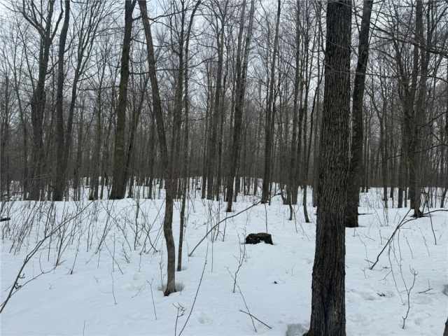 Barronett Land Real Estate