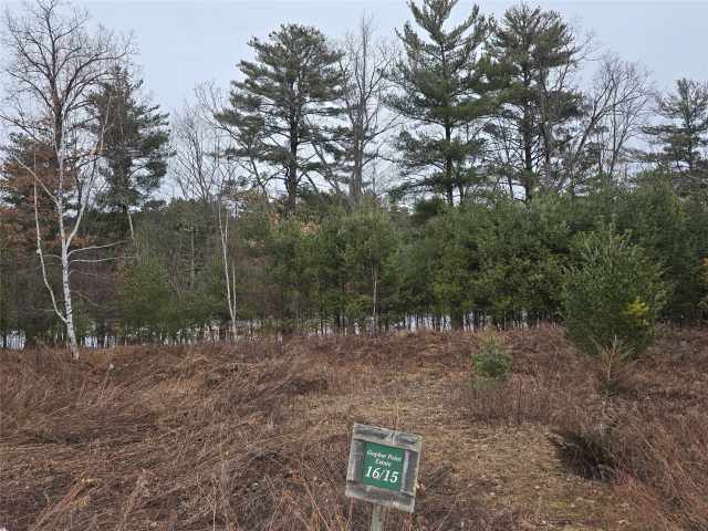 Cameron Land Real Estate