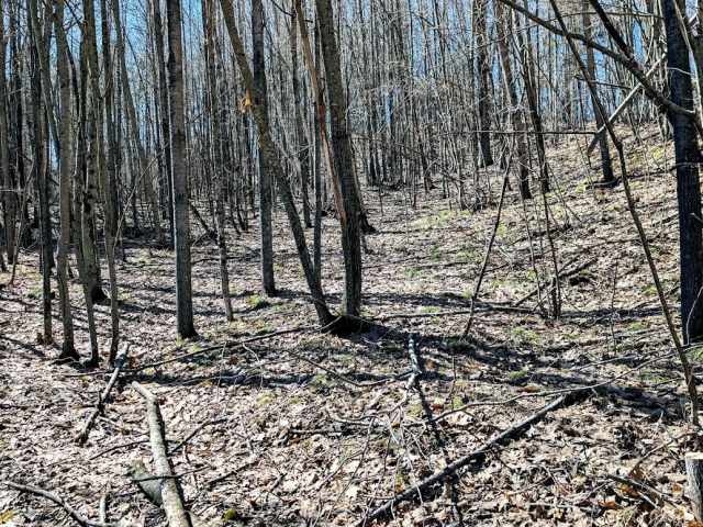 New Auburn Residential Real Estate