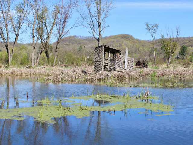 Alma Land Real Estate