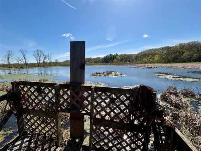 Alma Land Real Estate