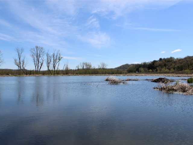 Alma Land Real Estate